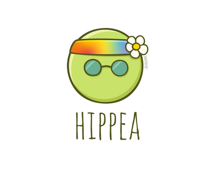 Hippea