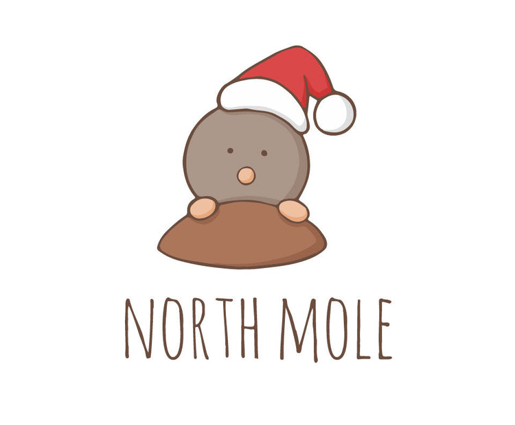 North mole