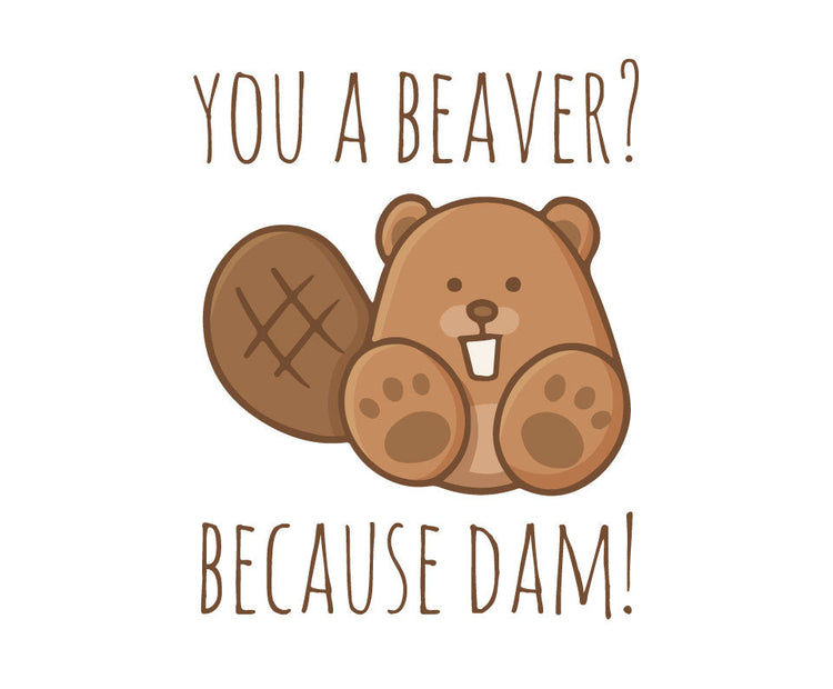 You a beaver, because dam